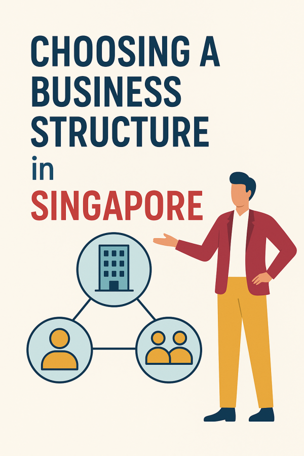 Choosing a Business Structure in Singapore